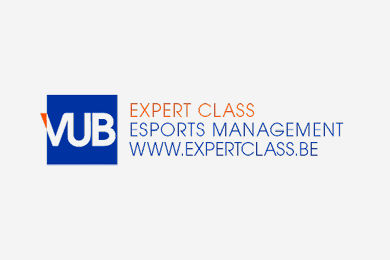 eSports expert
                      class VUB