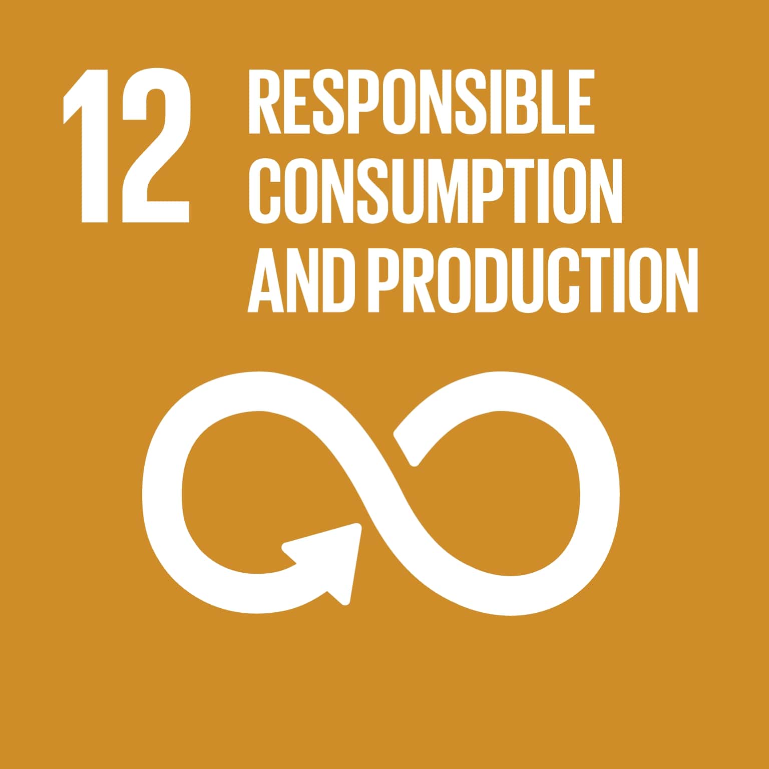 SDG 12. Responsible consumption and production