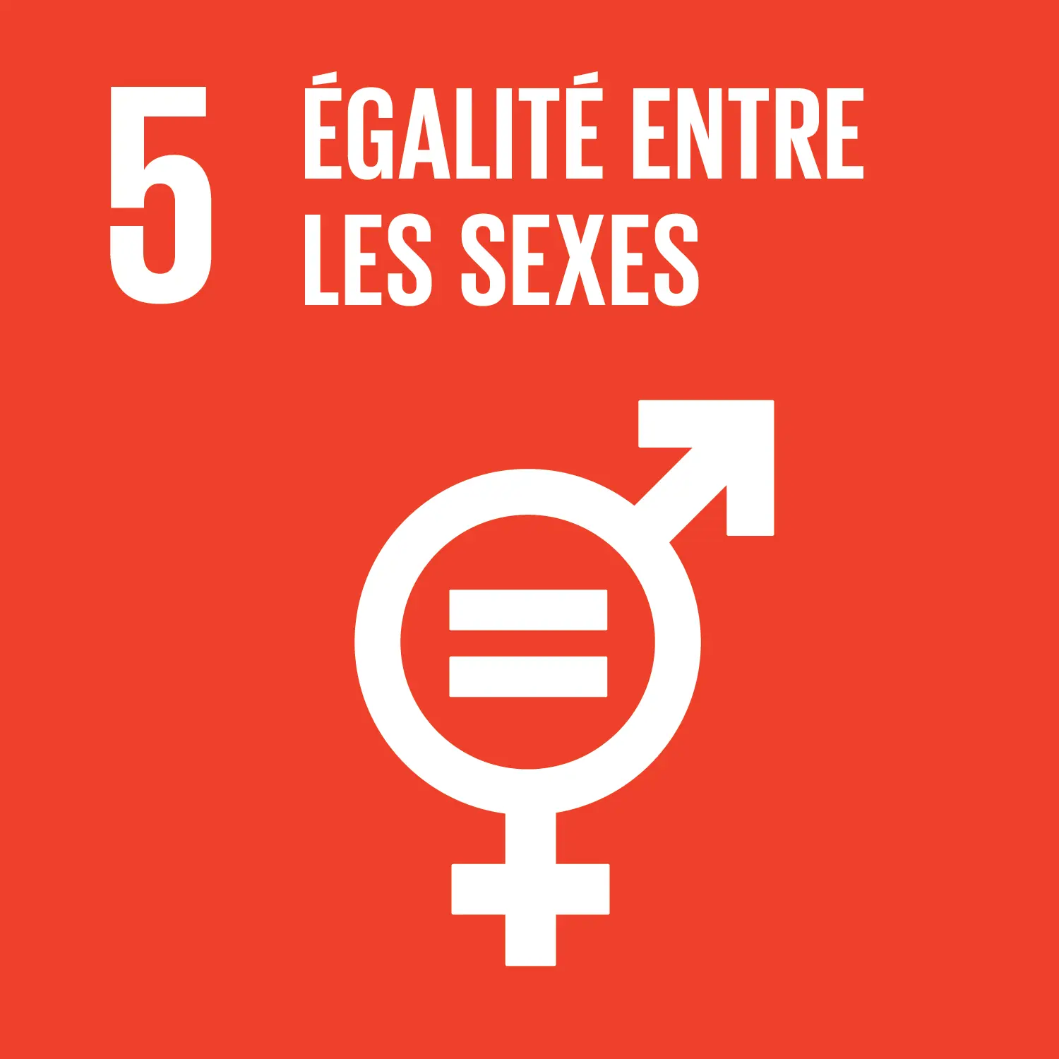 SDG 5. Égalité entre les sexes