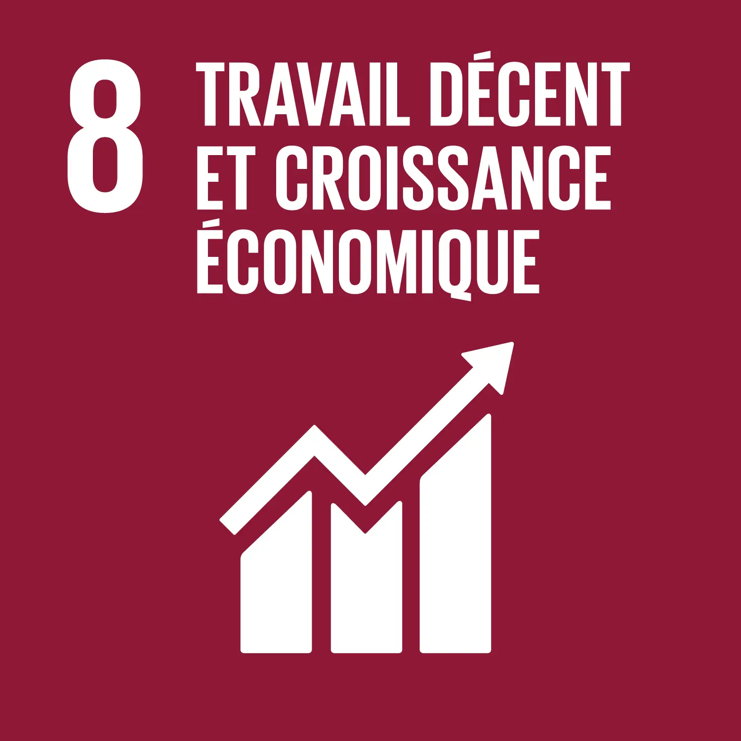 SDG 8. Travail décent et croissance economique