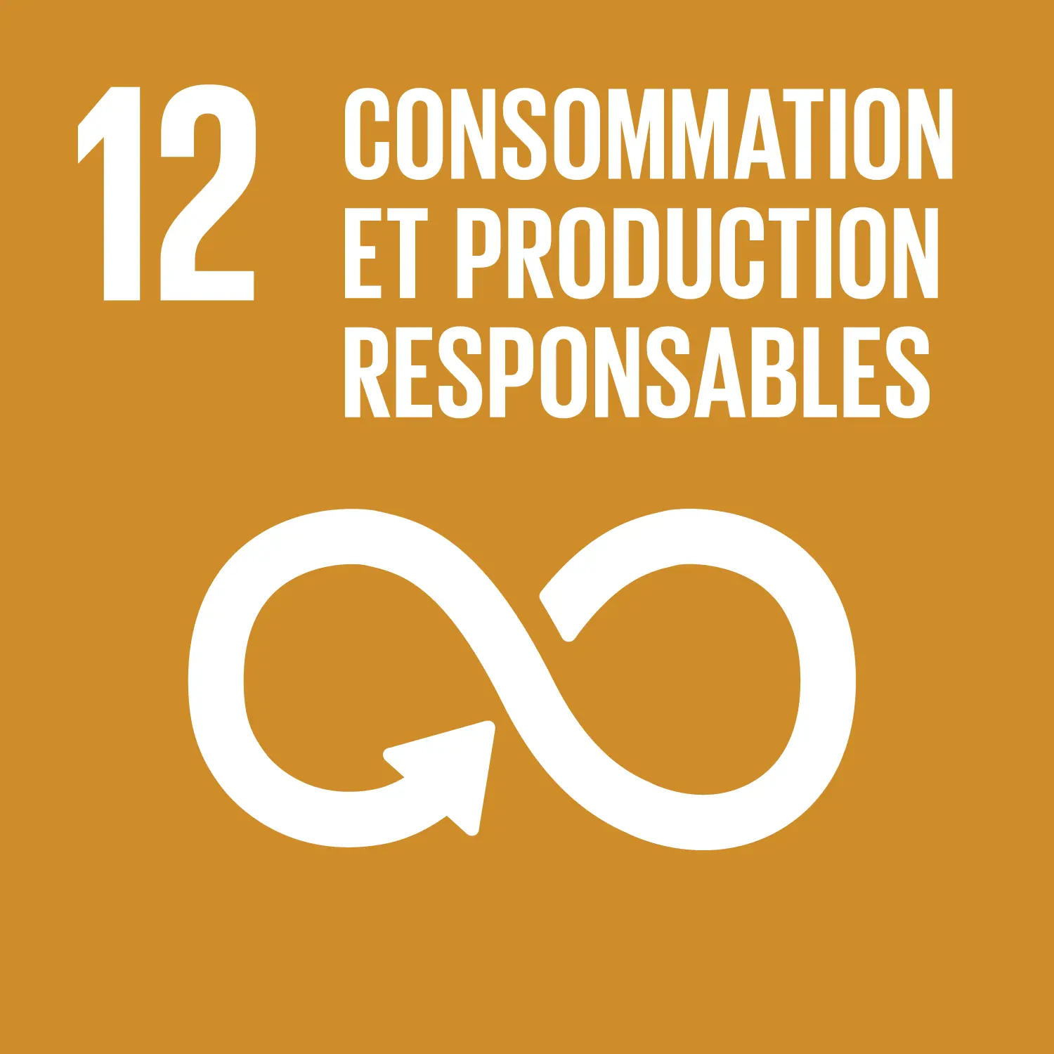 SDG 12. Consommation et production responsables