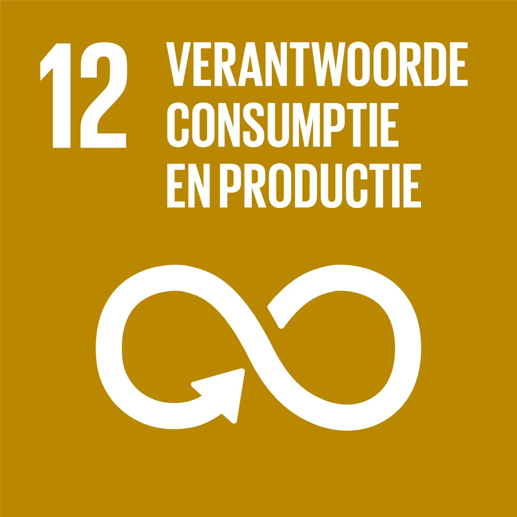 SDG 12. Verantwoorde consumptie en productie